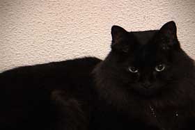 �Љ�ʐ^�FNo Time No Place