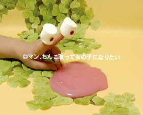 �Љ�ʐ^�F�p�y�b�g����`���A�ȊO�B