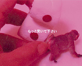 �Љ�ʐ^�F�p�y�b�g����`���A�ȊO�B