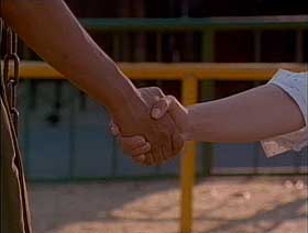 �Љ�ʐ^�F�ܐF(������)